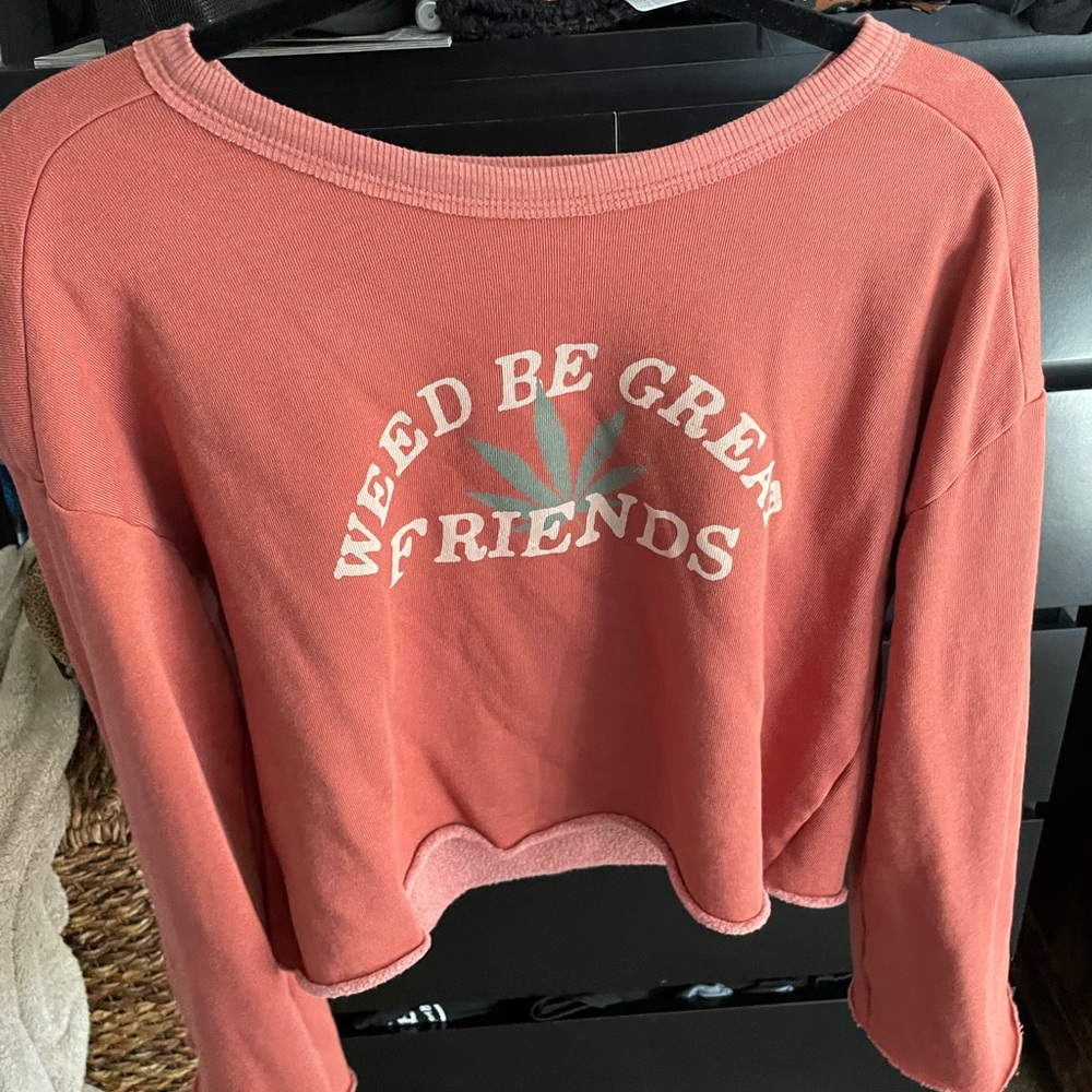 Wild fox cropped sweatshirt